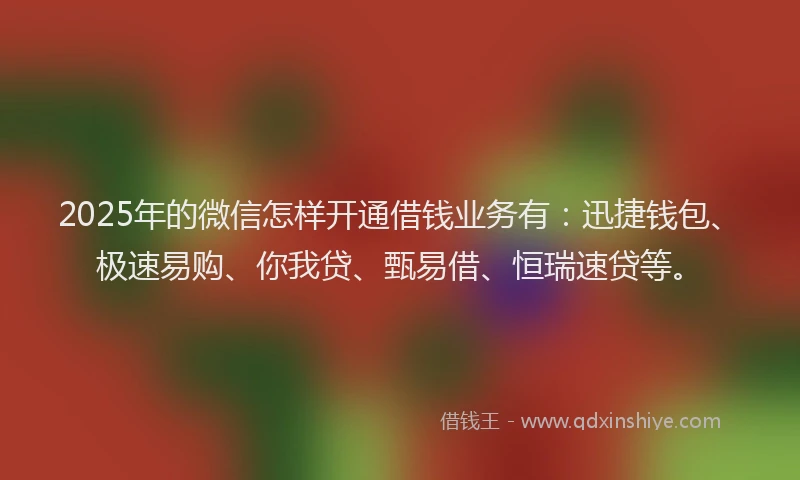 2025年的微信怎样开通借钱业务有：迅捷钱包、极速易购、你我贷、甄易借、恒瑞速贷等。