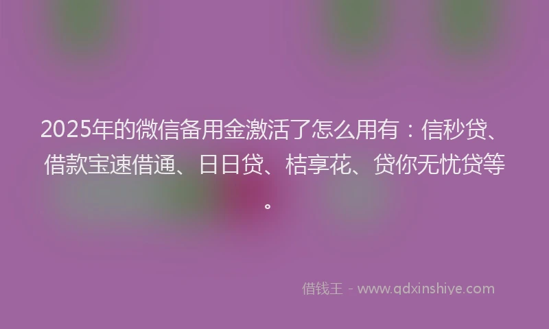 2025年的微信备用金激活了怎么用有：信秒贷、借款宝速借通、日日贷、桔享花、贷你无忧贷等。