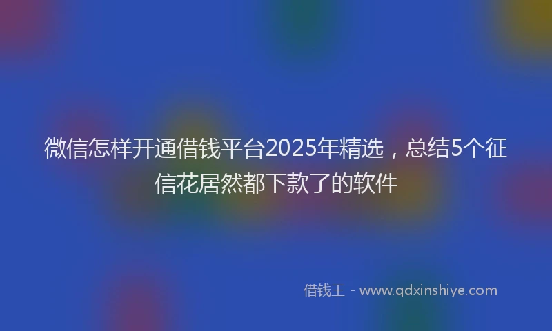微信怎样开通借钱平台2025年精选，总结5个征信花居然都下款了的软件
