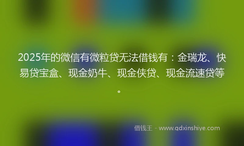 2025年的微信有微粒贷无法借钱有：金瑞龙、快易贷宝盒、现金奶牛、现金侠贷、现金流速贷等。