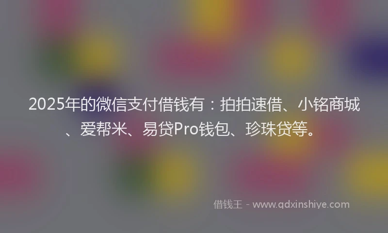 2025年的微信支付借钱有：拍拍速借、小铭商城、爱帮米、易贷Pro钱包、珍珠贷等。
