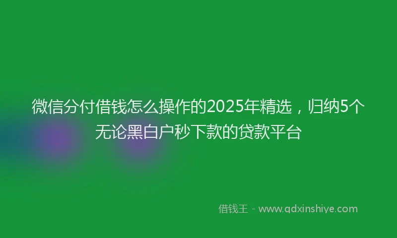 微信分付借钱怎么操作的2025年精选，归纳5个无论黑白户秒下款的贷款平台