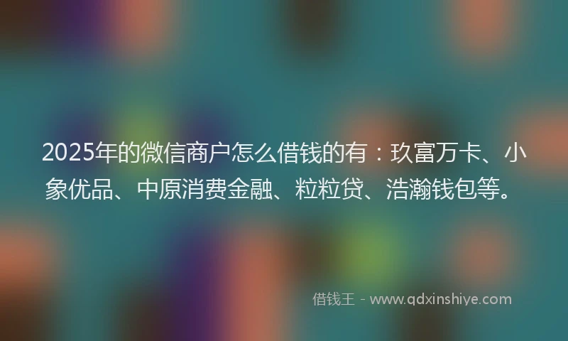 2025年的微信商户怎么借钱的有：玖富万卡、小象优品、中原消费金融、粒粒贷、浩瀚钱包等。