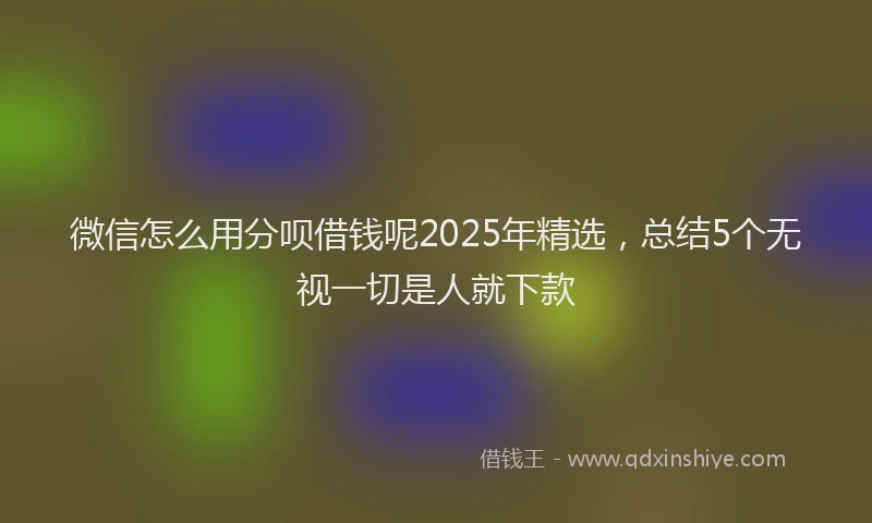 微信怎么用分呗借钱呢2025年精选，总结5个无视一切是人就下款