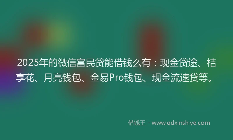 2025年的微信富民贷能借钱么有：现金贷途、桔享花、月亮钱包、金易Pro钱包、现金流速贷等。