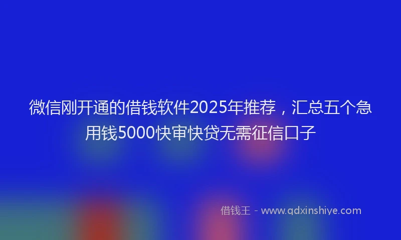 微信刚开通的借钱软件2025年推荐，汇总五个急用钱5000快审快贷无需征信口子