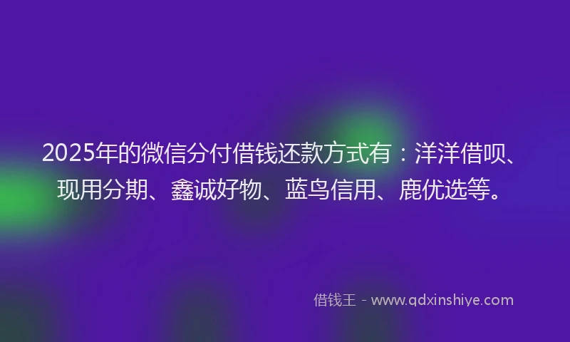 2025年的微信分付借钱还款方式有：洋洋借呗、现用分期、鑫诚好物、蓝鸟信用、鹿优选等。