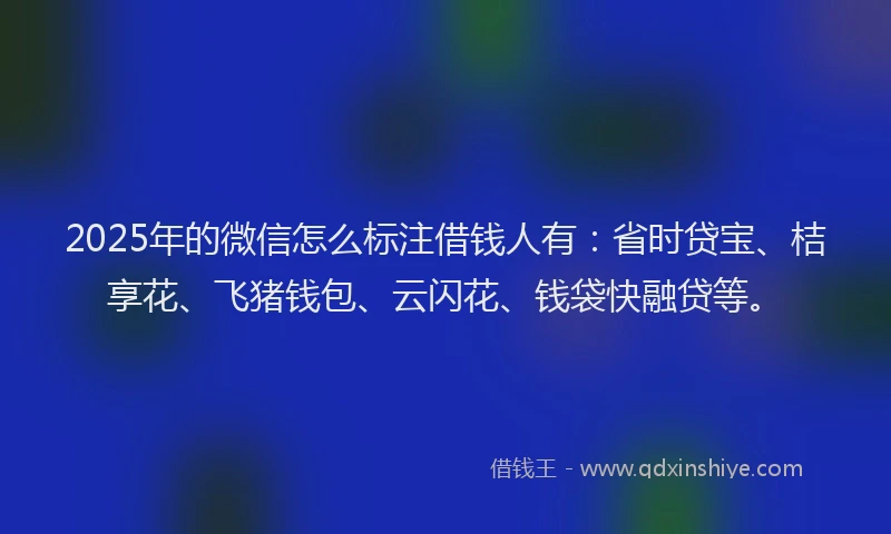 2025年的微信怎么标注借钱人有：省时贷宝、桔享花、飞猪钱包、云闪花、钱袋快融贷等。