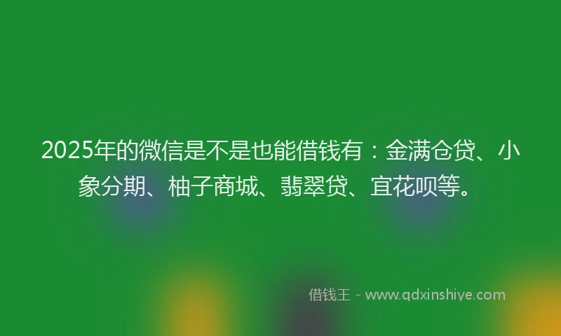 2025年的微信是不是也能借钱有：金满仓贷、小象分期、柚子商城、翡翠贷、宜花呗等。