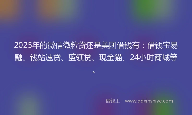 2025年的微信微粒贷还是美团借钱有：借钱宝易融、钱站速贷、蓝领贷、现金猫、24小时商城等。
