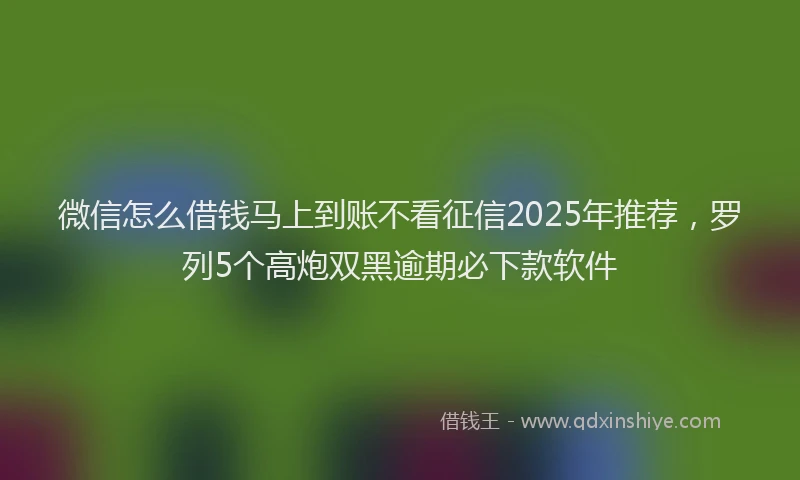 微信怎么借钱马上到账不看征信2025年推荐，罗列5个高炮双黑逾期必下款软件