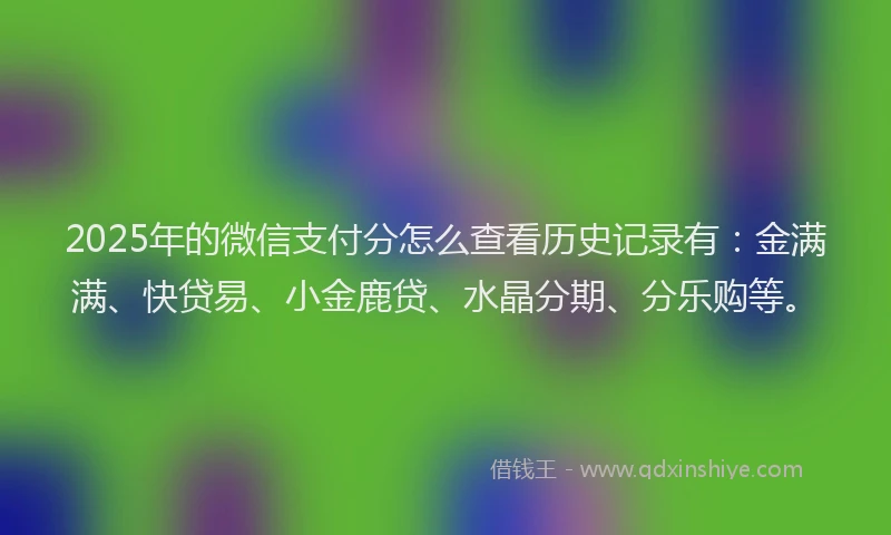 2025年的微信支付分怎么查看历史记录有：金满满、快贷易、小金鹿贷、水晶分期、分乐购等。