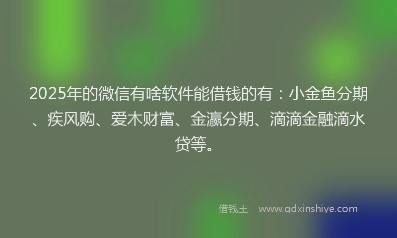 2025年的微信有啥软件能借钱的有：小金鱼分期、疾风购、爱木财富、金瀛分期、滴滴金融滴水贷等。