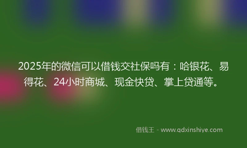 2025年的微信可以借钱交社保吗有：哈银花、易得花、24小时商城、现金快贷、掌上贷通等。