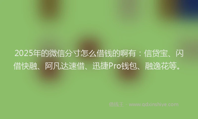 2025年的微信分寸怎么借钱的啊有：信贷宝、闪借快融、阿凡达速借、迅捷Pro钱包、融逸花等。