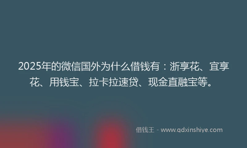 2025年的微信国外为什么借钱有：浙享花、宜享花、用钱宝、拉卡拉速贷、现金直融宝等。