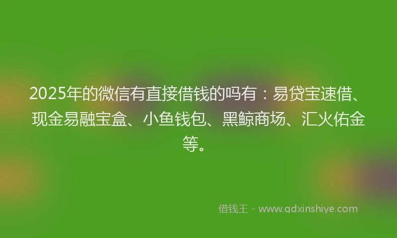 2025年的微信有直接借钱的吗有：易贷宝速借、现金易融宝盒、小鱼钱包、黑鲸商场、汇火佑金等。