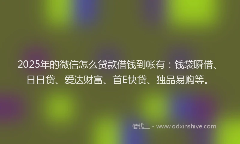 2025年的微信怎么贷款借钱到帐有：钱袋瞬借、日日贷、爱达财富、首E快贷、独品易购等。