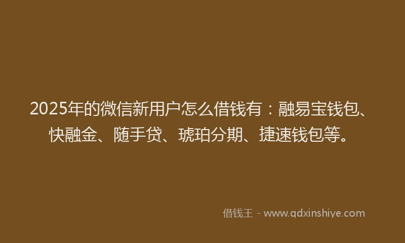 2025年的微信新用户怎么借钱有：融易宝钱包、快融金、随手贷、琥珀分期、捷速钱包等。