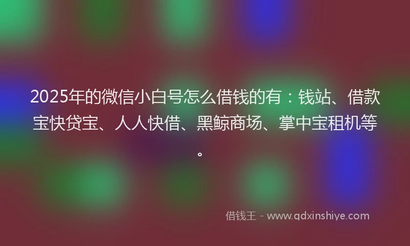 2025年的微信小白号怎么借钱的有：钱站、借款宝快贷宝、人人快借、黑鲸商场、掌中宝租机等。
