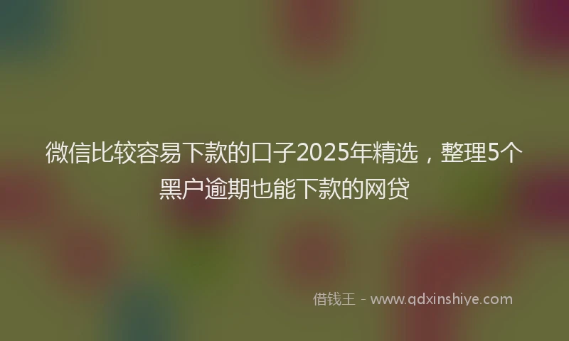 微信比较容易下款的口子2025年精选，整理5个黑户逾期也能下款的网贷