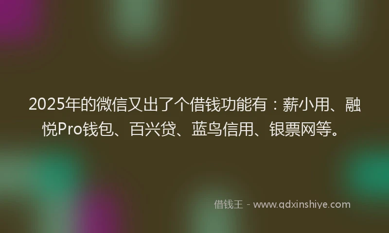 2025年的微信又出了个借钱功能有：薪小用、融悦Pro钱包、百兴贷、蓝鸟信用、银票网等。