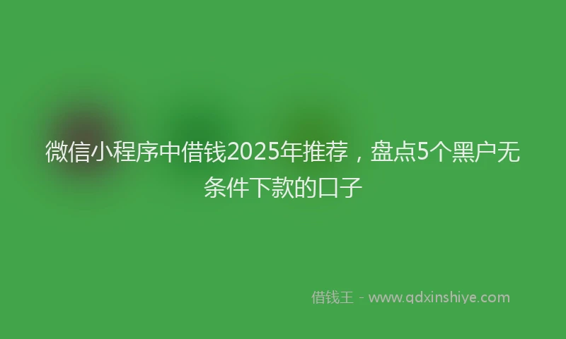微信小程序中借钱2025年推荐，盘点5个黑户无条件下款的口子