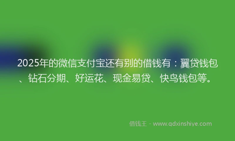 2025年的微信支付宝还有别的借钱有：翼贷钱包、钻石分期、好运花、现金易贷、快鸟钱包等。