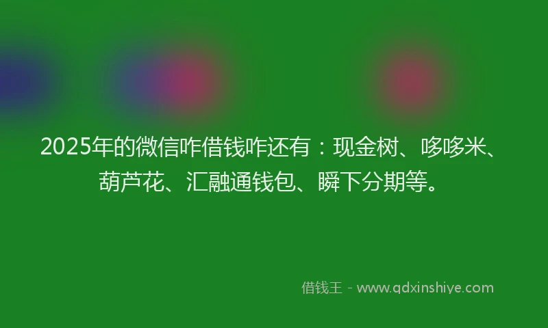 2025年的微信咋借钱咋还有：现金树、哆哆米、葫芦花、汇融通钱包、瞬下分期等。