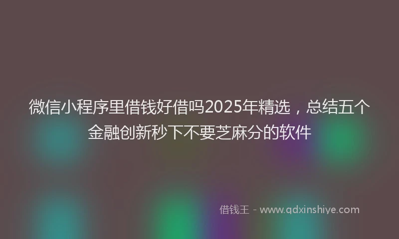 微信小程序里借钱好借吗2025年精选，总结五个金融创新秒下不要芝麻分的软件