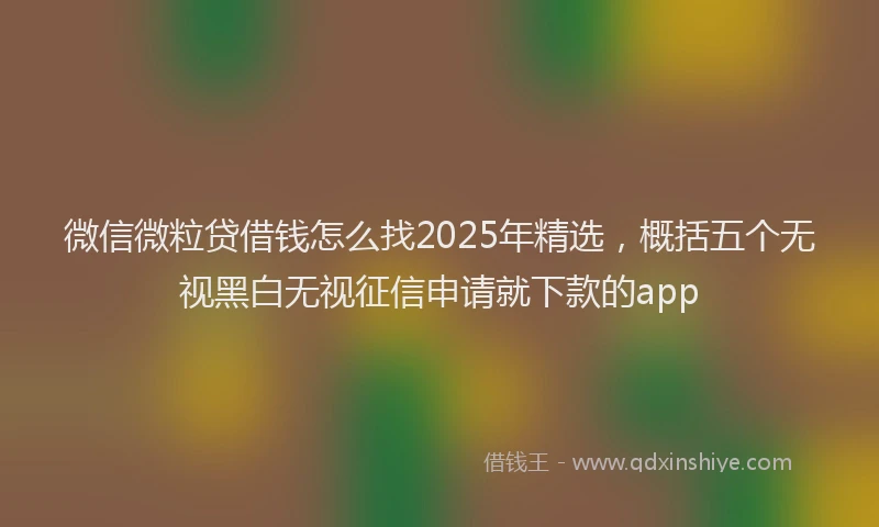 微信微粒贷借钱怎么找2025年精选，概括五个无视黑白无视征信申请就下款的app