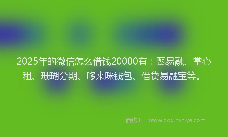 2025年的微信怎么借钱20000有：甄易融、掌心租、珊瑚分期、哆来咪钱包、借贷易融宝等。