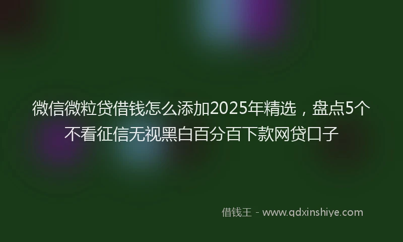 微信微粒贷借钱怎么添加2025年精选，盘点5个不看征信无视黑白百分百下款网贷口子