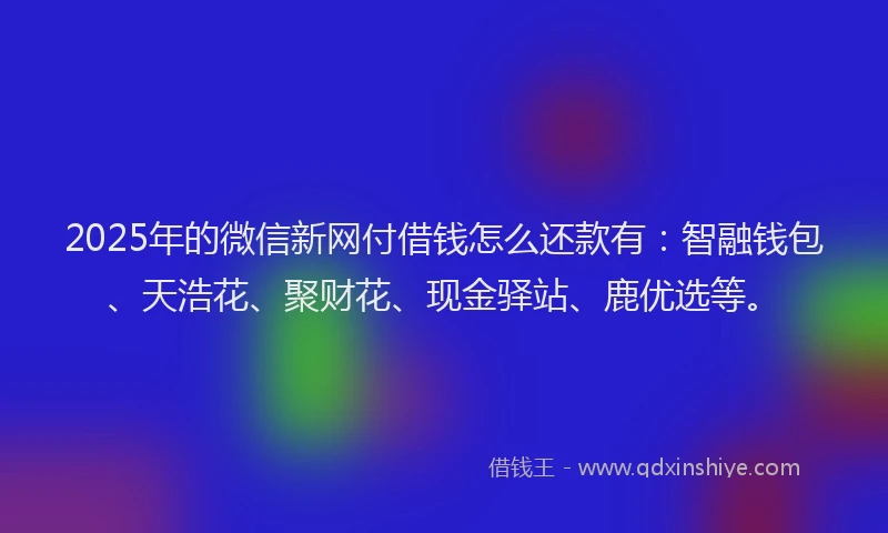 2025年的微信新网付借钱怎么还款有：智融钱包、天浩花、聚财花、现金驿站、鹿优选等。