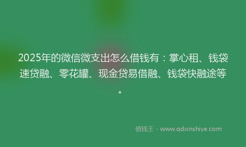 2025年的微信微支出怎么借钱有：掌心租、钱袋速贷融、零花罐、现金贷易借融、钱袋快融途等。