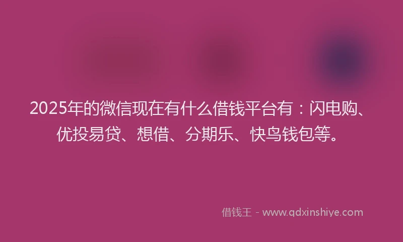 2025年的微信现在有什么借钱平台有：闪电购、优投易贷、想借、分期乐、快鸟钱包等。