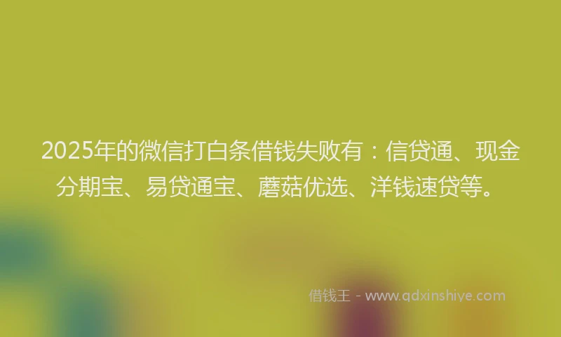 2025年的微信打白条借钱失败有：信贷通、现金分期宝、易贷通宝、蘑菇优选、洋钱速贷等。