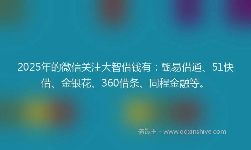 2025年的微信关注大智借钱有：甄易借通、51快借、金银花、360借条、同程金融等。