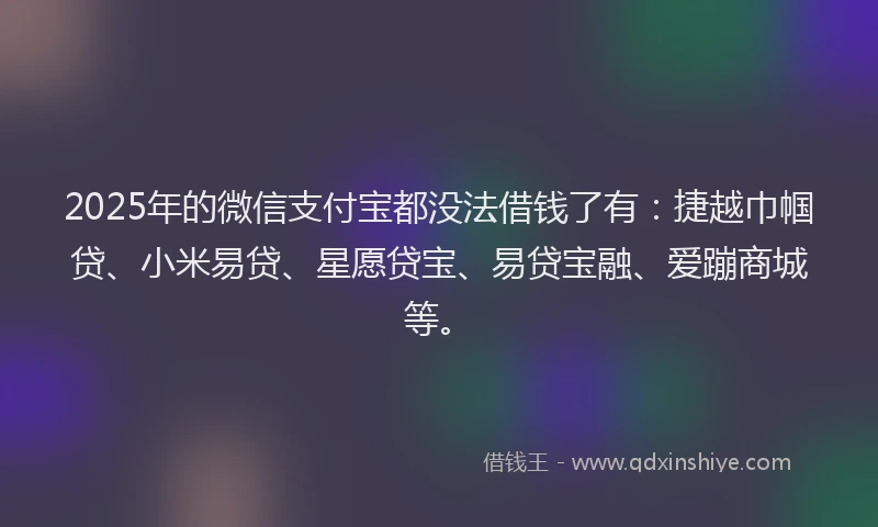 2025年的微信支付宝都没法借钱了有：捷越巾帼贷、小米易贷、星愿贷宝、易贷宝融、爱蹦商城等。