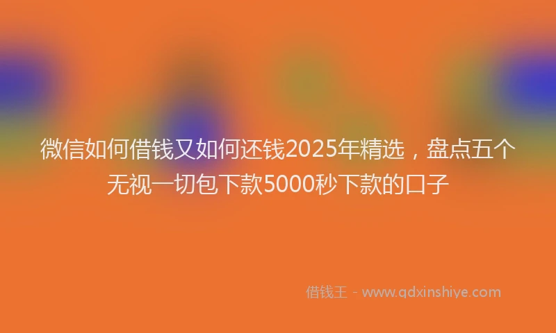 微信如何借钱又如何还钱2025年精选，盘点五个无视一切包下款5000秒下款的口子