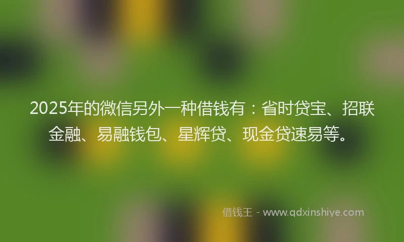 2025年的微信另外一种借钱有：省时贷宝、招联金融、易融钱包、星辉贷、现金贷速易等。