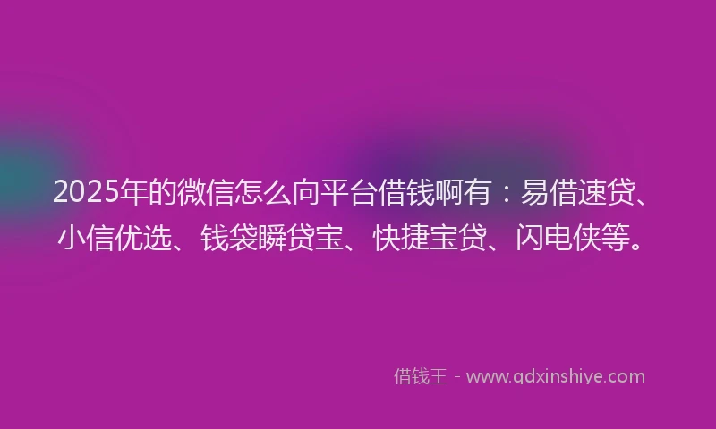 2025年的微信怎么向平台借钱啊有：易借速贷、小信优选、钱袋瞬贷宝、快捷宝贷、闪电侠等。