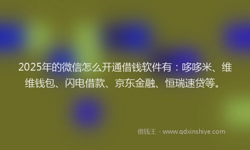 2025年的微信怎么开通借钱软件有：哆哆米、维维钱包、闪电借款、京东金融、恒瑞速贷等。