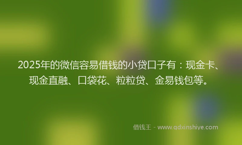 2025年的微信容易借钱的小贷口子有：现金卡、现金直融、口袋花、粒粒贷、金易钱包等。