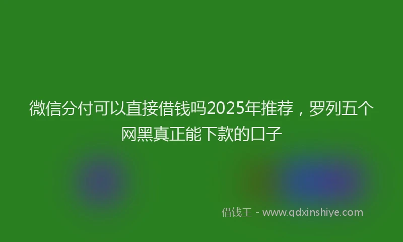 微信分付可以直接借钱吗2025年推荐，罗列五个网黑真正能下款的口子