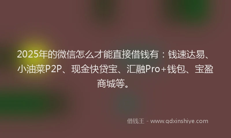 2025年的微信怎么才能直接借钱有：钱速达易、小油菜P2P、现金快贷宝、汇融Pro+钱包、宝盈商城等。