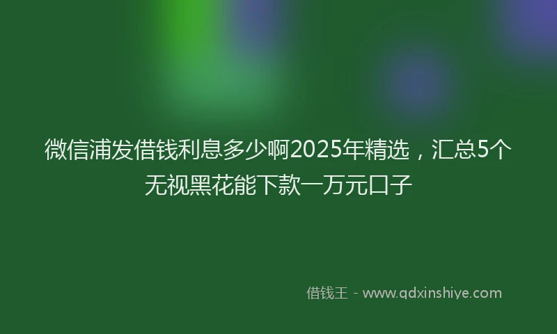 微信浦发借钱利息多少啊2025年精选，汇总5个无视黑花能下款一万元口子