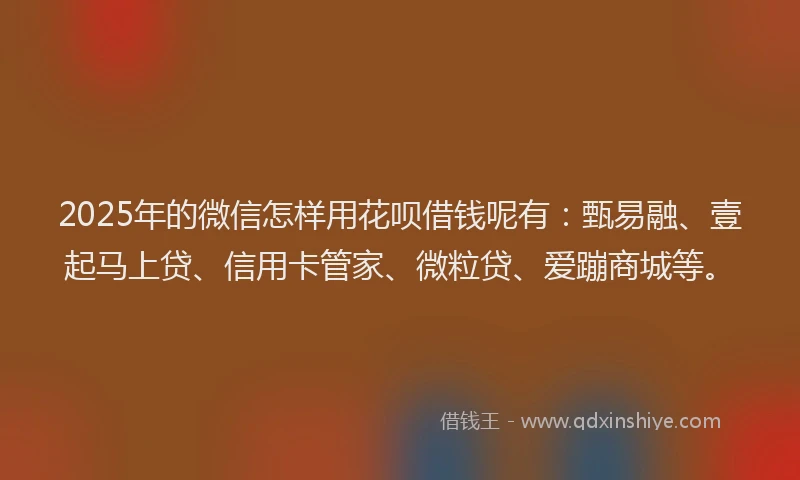 2025年的微信怎样用花呗借钱呢有：甄易融、壹起马上贷、信用卡管家、微粒贷、爱蹦商城等。