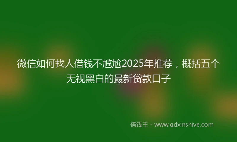 微信如何找人借钱不尴尬2025年推荐，概括五个无视黑白的最新贷款口子