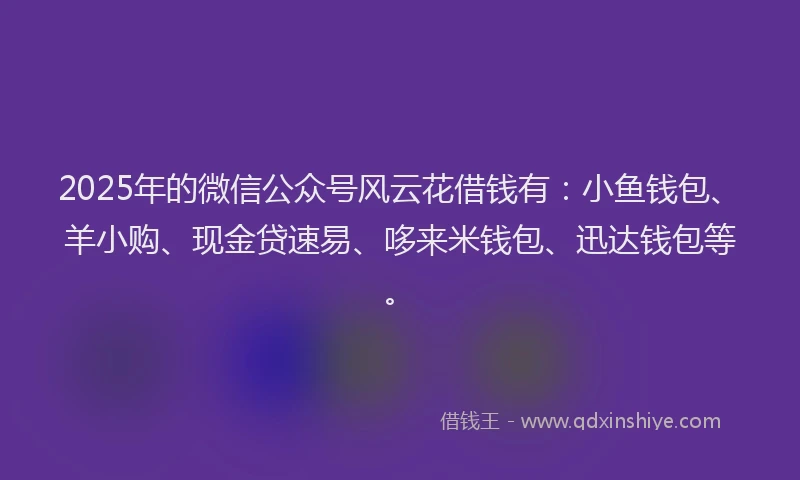 2025年的微信公众号风云花借钱有：小鱼钱包、羊小购、现金贷速易、哆来米钱包、迅达钱包等。
